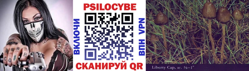Псилоцибиновые грибы Psilocybe  где купить наркоту  Острогожск 